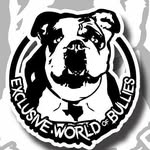 Elder Flores - @exclusive_world_of_bullies - Instagram