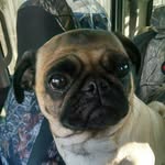 Eldon Austin Patterson IV - @sir_flapjack - Instagram