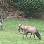 Eldon Batzold - @batzoldeldon - Instagram