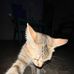 Elton Fullero - Facebook