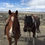 Eldon Hill - @eldonhill6719 - Instagram