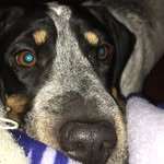 Eldon Johnson - @eldon_johnson - Instagram