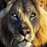 Onelove - @eldon_scott1978 - Instagram