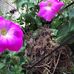 Eldon Swanson - Facebook
