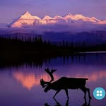 Eldon Warren - @eldonwarren - Instagram