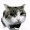 warren.eldon200 - @warren.eldon200 - TikTok