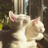 Eldora - @eldora102 - TikTok