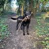 Busby Aldridge - @busbyblacklab - TikTok