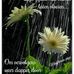 Emildred Edwards - Facebook