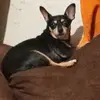Baby Gray - @eldridgephillips42 - TikTok