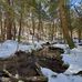 Eldridge King Woodlands - Facebook