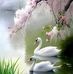 Eldy Maria Mojica Castillo - Facebook