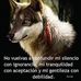 Ele Delgado - Facebook