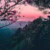 Eleanor Abbott - @jantic5 - TikTok