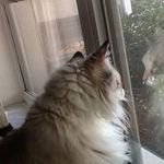 Eleanor Applegate - @eapple516 - Instagram