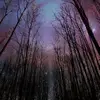 eleanoraustin796 - @eleanoraustin796 - TikTok