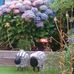 Eleanor Bates - Facebook