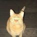Eleanor Benedict - Facebook