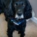 Eleanor Bennett - Facebook