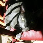 Eleanor The Blue - @eleanortheblue - Instagram