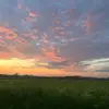 eleanor_cameron224 - @eleanor_cameron224 - TikTok