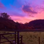 Eleanor corrigan - @xxeleanor162 - Instagram