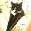 Eleanor Day645 - @eleanorday645 - TikTok