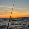 Eleanor_day - @eleanor_day4 - TikTok