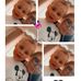 Eleanor Dodd - Facebook