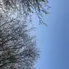 eleanor.dodd - @eleanor.dodd - TikTok