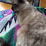 Eleanor Ritten Dolan - @karlaritten - Instagram