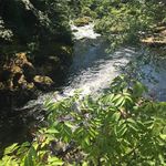 Eleanor Donovan - @elgogirl - Instagram