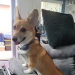 Einstein Eleanor Reyes-Downs - @einie_eleanor - Instagram