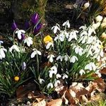 Eleanor Duff - @eleanormd70 - Instagram