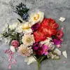 eleanoraedgar_emard8 - @eleanoraedgar_ema - TikTok