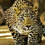 Eleanor Everson - @eleanor0547 - Instagram