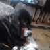 Eleanor Fleck - Facebook