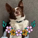 Eleanor Ford - Facebook