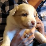 Eleanor Frame - @eleanortheaussie - Instagram