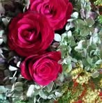 Eleanor Grimaldi - Facebook