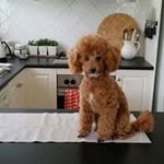 Eleanor Hacking - @hackingeleanor - Instagram
