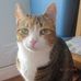 Eleanor Hackett Smith - Facebook
