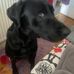 Eleanor Hatcher - Facebook