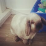 Eleanor Jane Hatcher - @eleanorjanehatcher - Instagram