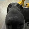 ella no hatfield - @e11a46 - TikTok