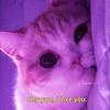profound agony - @eleanor.haze - TikTok