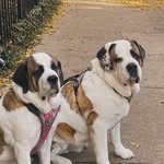 Eleanor Herbert Penrod - @onlybubbas - Instagram