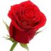 Eleanor Hirsch - Facebook