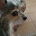 Eleanor Hirsch - Facebook