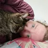 Eleanor Holmes - @eleanor.holmes3 - TikTok